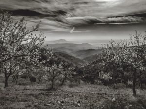 15.º Concurso Fotografia 2019